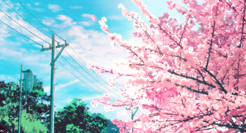 Image result for cherry blossom anime