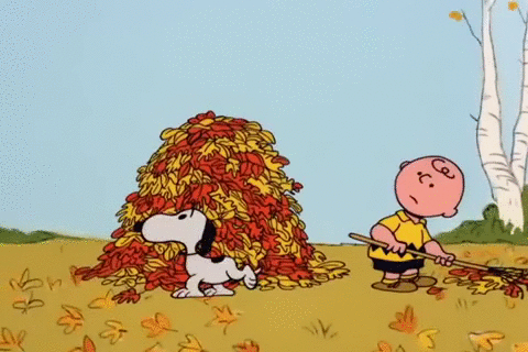 Image result for snoopy happy fall images