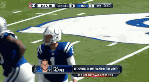 Image result for Colts gifs